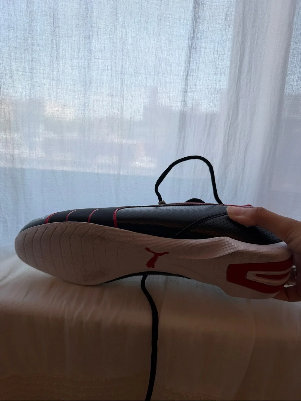 Puma ferrari race